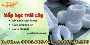Bán xốp bọc trái cây giá sỉ TPHCM