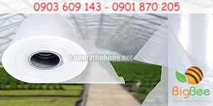 Phân phối màng nilon làm nhà kính giá sỉ