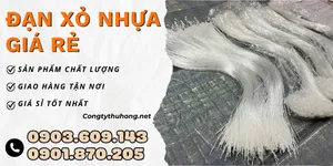 Đặt mua đạn xỏ nhựa gắn nhãn mác giá rẻ tại TPHCM