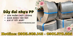 Dây đai nhựa pp giá rẻ, chất lượng