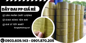 Dây đai PP đóng gói hàng – Bền, rẻ, dễ dùng