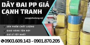 Dây đai PP tại TPHCM – Giá cạnh tranh, đóng gói chắc chắn