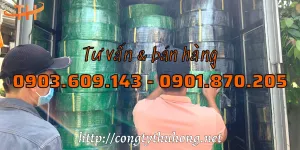 Những đơn dây đai PET giao cận tết
