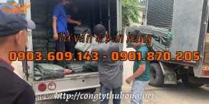 Giao hàng mỗi ngày bao tải dứa giá rẻ TPHCM