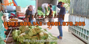 Hỗ trợ giao hàng nhanh bao tải dứa giá rẻ trong ngày