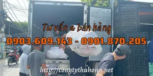 Giao nhựa gia dụng giá sỉ cho khách hàng tại TPHCM