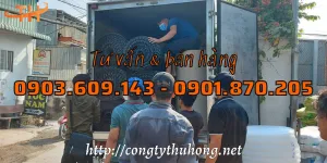 Vận chuyển lưới mắt cáo ra chành xe về tỉnh