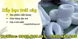 Công ty sản xuất lưới xốp bọc trái cây tại TPHCM
