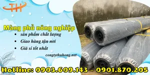 Bán màng phủ nông nghiệp cho cây trồng giá rẻ