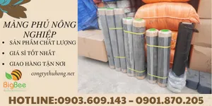 Màng phủ nông nghiệp giá siêu rẻ cho nhà nông