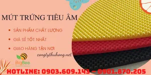 Mút trứng tiêu âm chất lượng giá sỉ tại Tp.HCM
