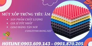 Mút xốp trứng tiêu âm giá rẻ