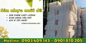 Tấm nhựa lót sàn dê giá rẻ chịu lực tốt