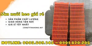 Sàn nuôi heo giá rẻ chất lượng cao