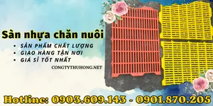 Hướng dẫn sử dụng sàn nhựa chăn nuôi đúng cách