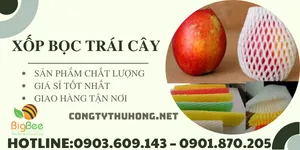 Xốp bọc trái cây 7 màu giá tốt cho nhà vườn miền tây