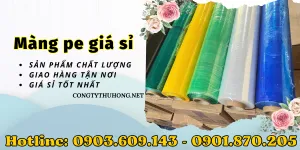 Xưởng sản xuất màng pe giá cạnh tranh TPHCM