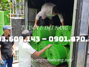 Lên đơn lưới nhựa mắt cáo khổ lớn đi Bình Thuận
