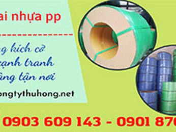 Nhà cung cấp dây đai nhựa pp giá rẻ HCM