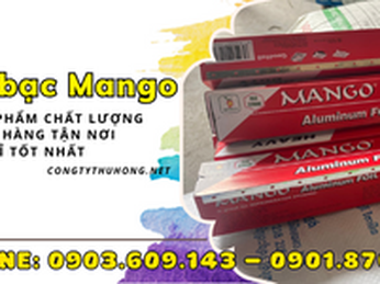 Giấy bạc hiệu Mango giá rẻ, chất lượng 