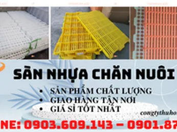 Cách nhận biết tấm nhựa lót sàn chăn nuôi chất lượng