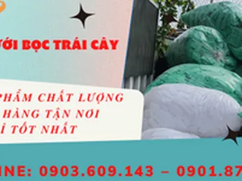 Xốp lưới bọc ổi, táo giá rẻ