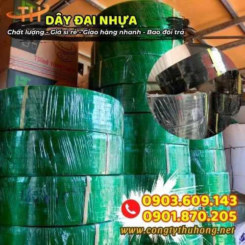 DÂY ĐAI NHỰA PET