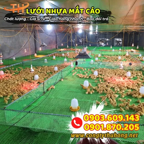 LƯỚI RÀO VƯỜN NGĂN GÀ VỊT