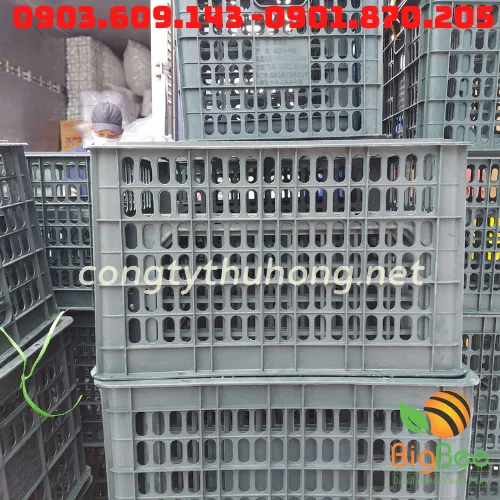 RỔ NHỰA ĐỰNG NÔNG SẢN
