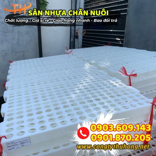 SÀN NHỰA CHĂN NUÔI LỖ TRÒN