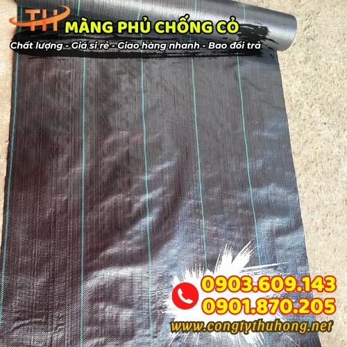 BẠT PHỦ CHỐNG CỎ