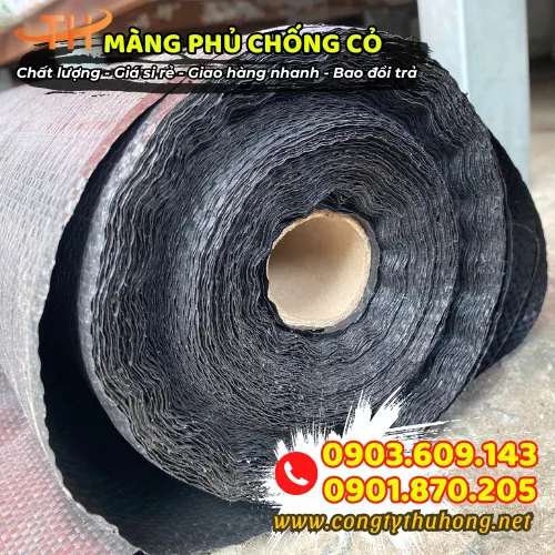 BẠT PHỦ CHỐNG CỎ