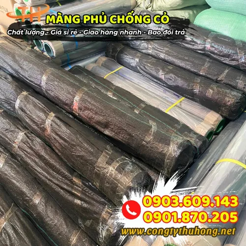 BẠT PHỦ CHỐNG CỎ