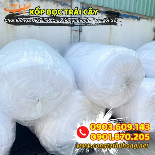 CUỘN XỐP BỌC TRÁI CÂY KHÔNG CẮT