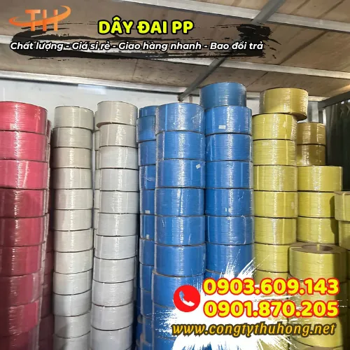 DÂY ĐAI NHỰA PP 1F2