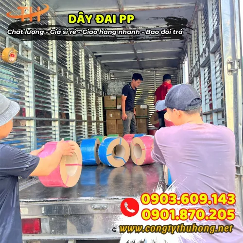 DÂY ĐAI NHỰA PP 1F2