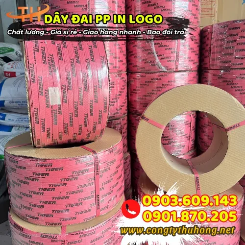 DÂY ĐAI PP IN LOGO