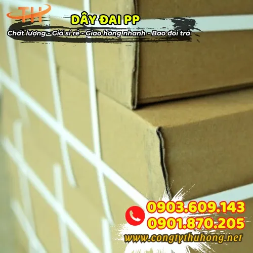 DÂY ĐAI NHỰA PP 1F