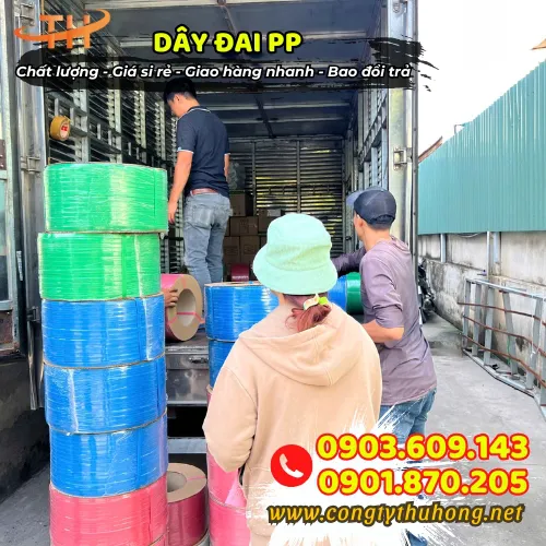 DÂY ĐAI NHỰA PP 1F