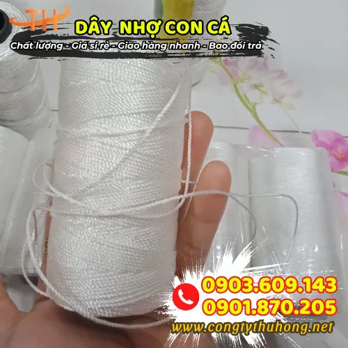 DÂY NHỢ HIỆU CON CÁ