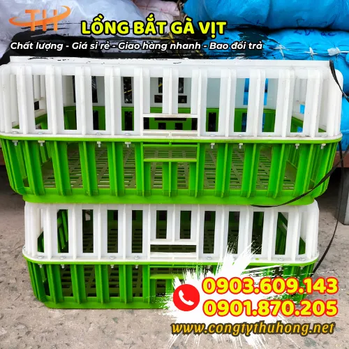 LỒNG BẮT GÀ VỊT