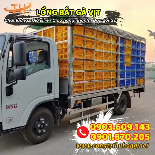 LỒNG BẮT GÀ VỊT