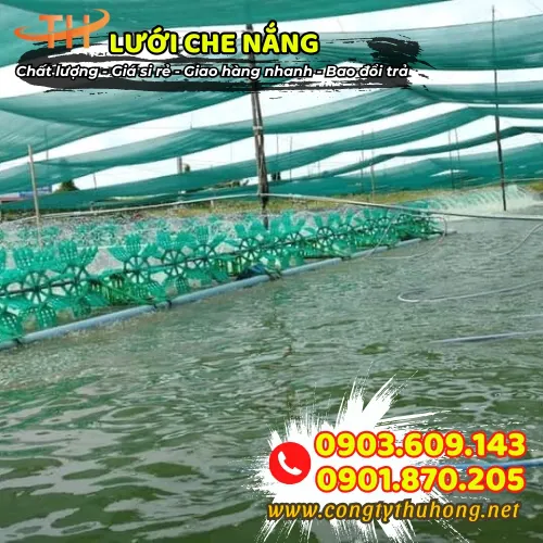 LƯỚI CHE NẮNG VIỆT NAM