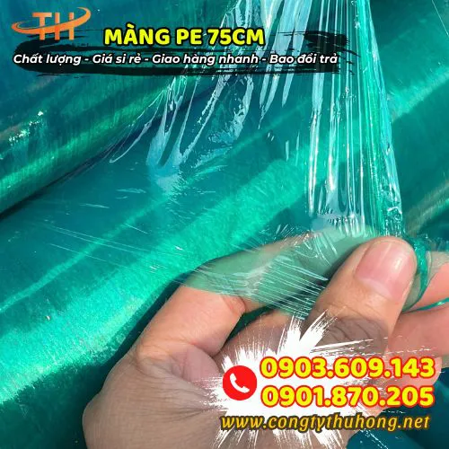 MÀNG PE 75CM
