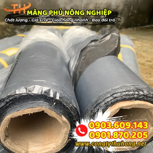 MÀNG PHỦ NÔNG NGHIỆP 