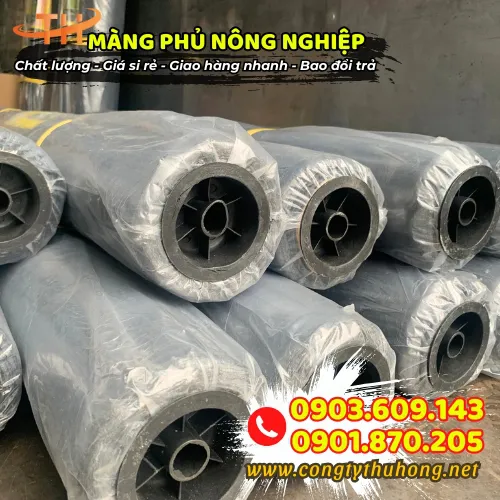 MÀNG PHỦ NÔNG NGHIỆP 