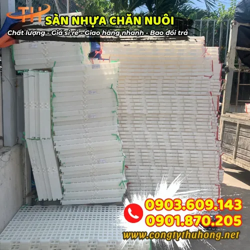 SÀN NHỰA CHĂN NUÔI LỖ TRÒN