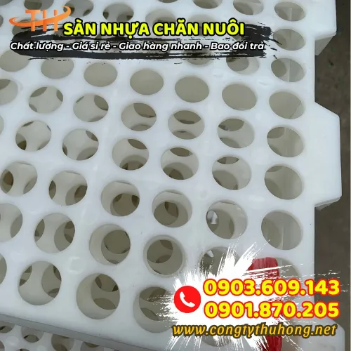 SÀN NHỰA CHĂN NUÔI LỖ TRÒN