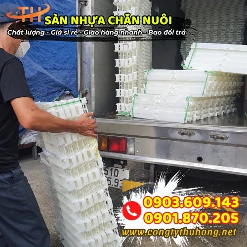 SÀN NHỰA CHĂN NUÔI LỖ TRÒN