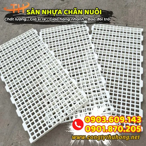 SÀN NHỰA CHĂN NUÔI LỖ VUÔNG